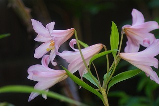 f0170524_21483422.jpg