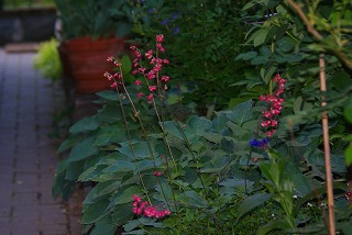 f0170524_2213470.jpg
