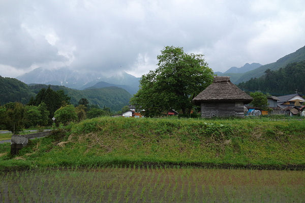 f0007926_10521790.jpg