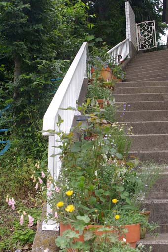 c0227728_0161777.jpg