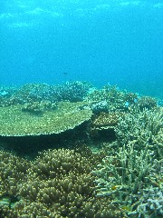 11.6.16 また、ボートチョイス_b0100730_2210431.jpg