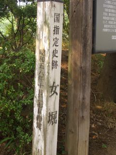 赤堀の広大菖蒲園の感想_f0161931_11161316.jpg