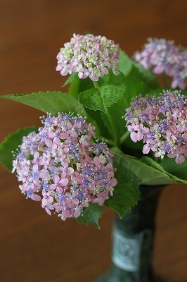 f0135935_23184919.jpg