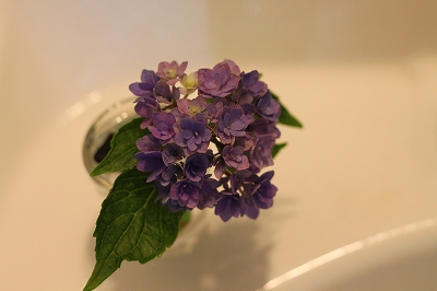 f0135935_23293592.jpg
