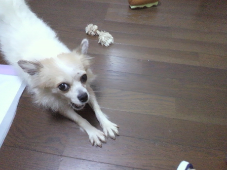d0169340_02609.jpg