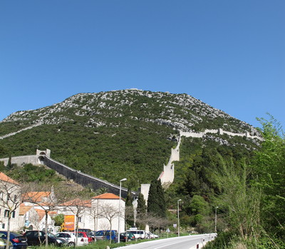 d0167041_49332.jpg