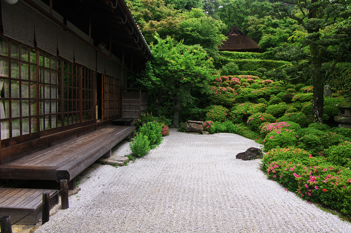 金福寺のサツキ_f0155048_09454.jpg