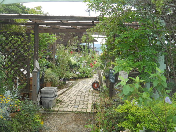 c0107149_8382240.jpg