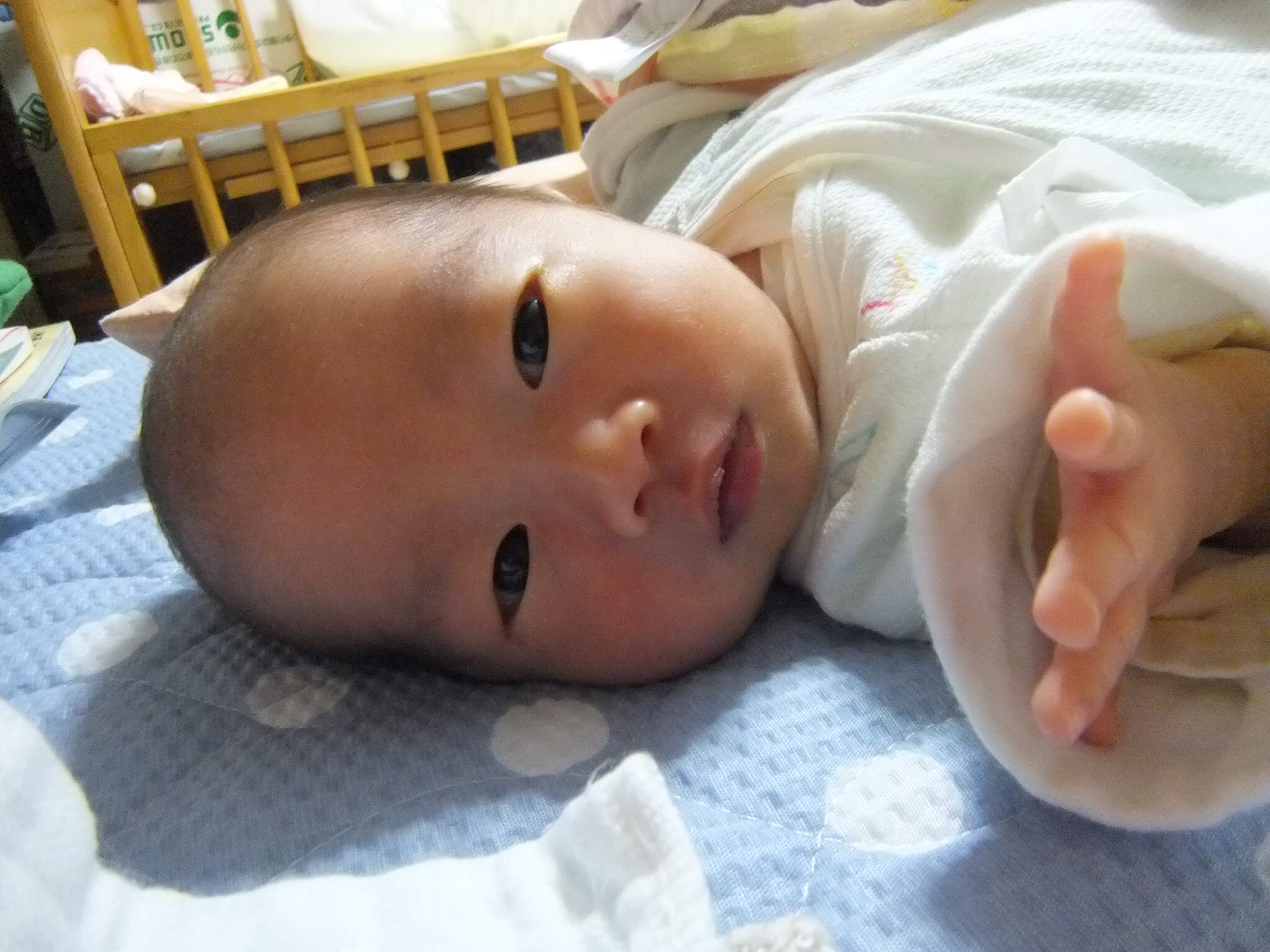 男の子顔と女の子顔 わたるくん成長日記 男の子顔と女の子顔 わたるくん成長日記