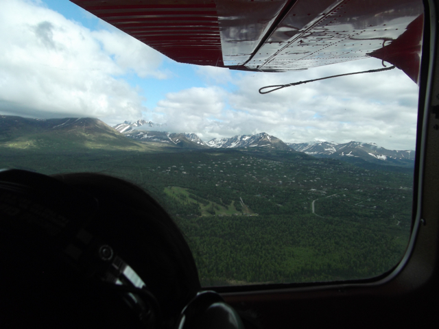 d0143355_7304415.jpg