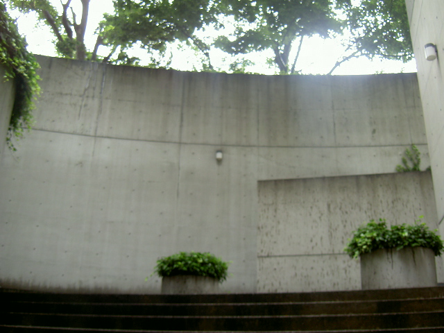 雨の日_a0071956_1916091.jpg