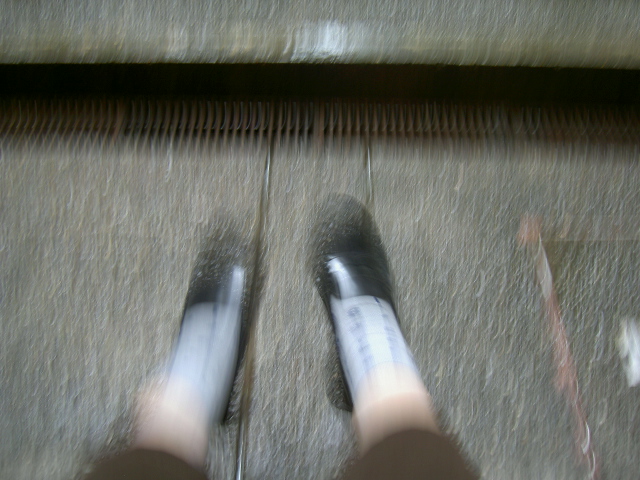 雨の日_a0071956_19161525.jpg