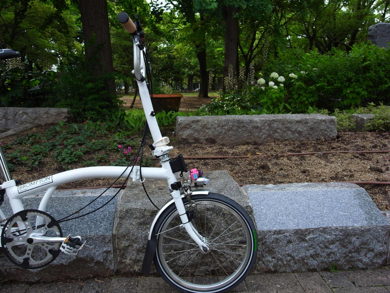 f0209159_10544685.jpg