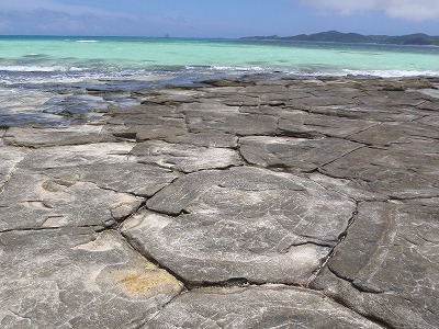 c0180460_834169.jpg
