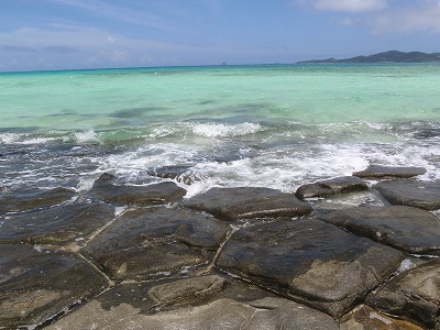 c0180460_845877.jpg