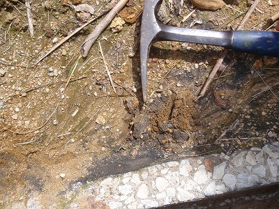 c0180460_873571.jpg