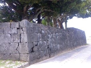 c0180460_891913.jpg