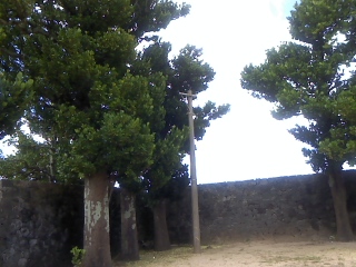 c0180460_895438.jpg