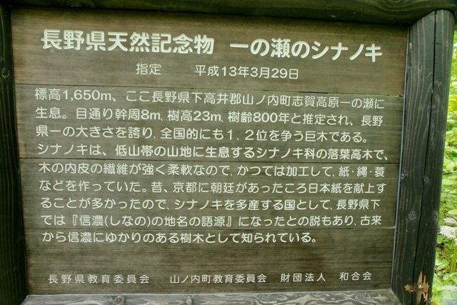 巨樹・名木探訪と森林浴　　（平成23年6月16日）_f0226960_21221297.jpg