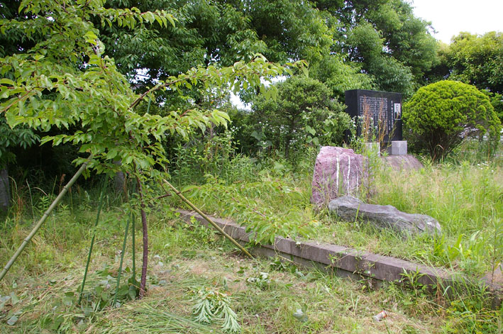 野口初太郎翁頌徳碑・建立地の河津桜の周囲を下草刈り_c0014967_11253967.jpg