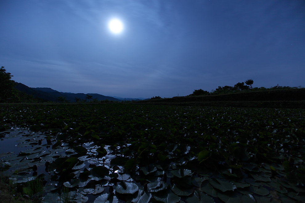 満月の夜 デジタルで見ていた風景