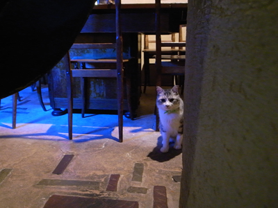 待つコ_a0180681_14584988.jpg