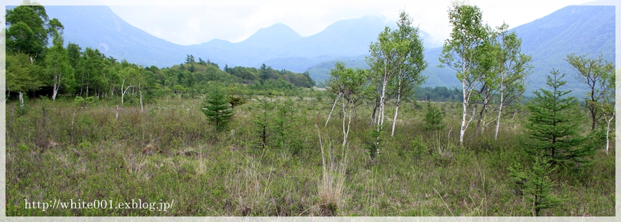 e0027083_223223.jpg