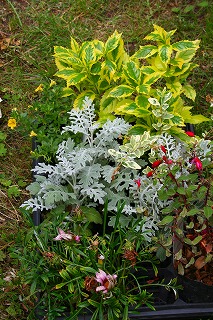 e0024385_15243111.jpg