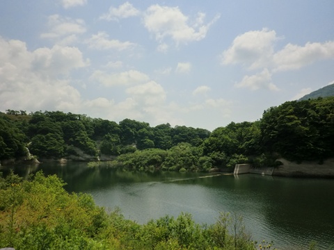 a0138198_10525330.jpg