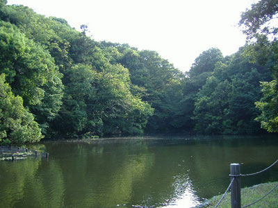 d0181899_15741.jpg