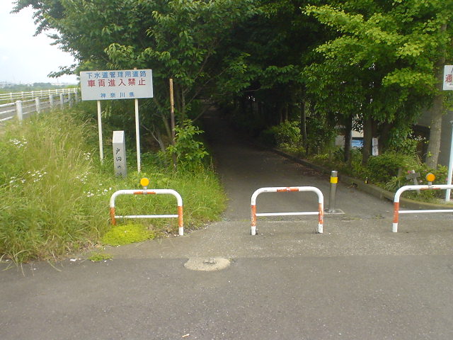e0154005_1422952.jpg