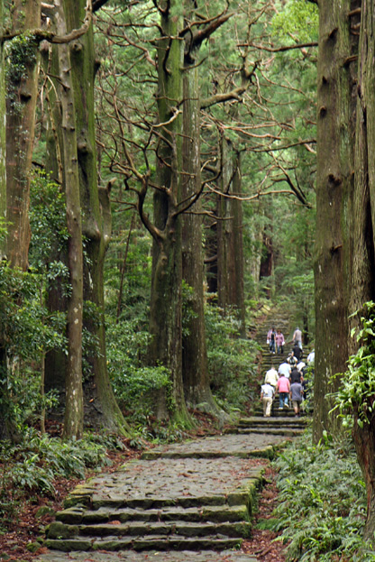 June 12　熊野古道_f0137508_1226599.jpg