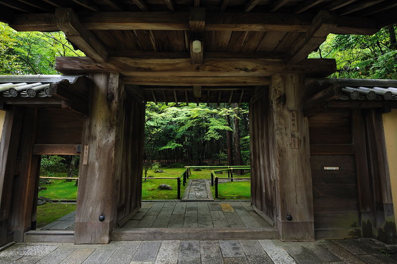 旬緑の大徳寺・高桐院　其の一_f0032011_2012462.jpg