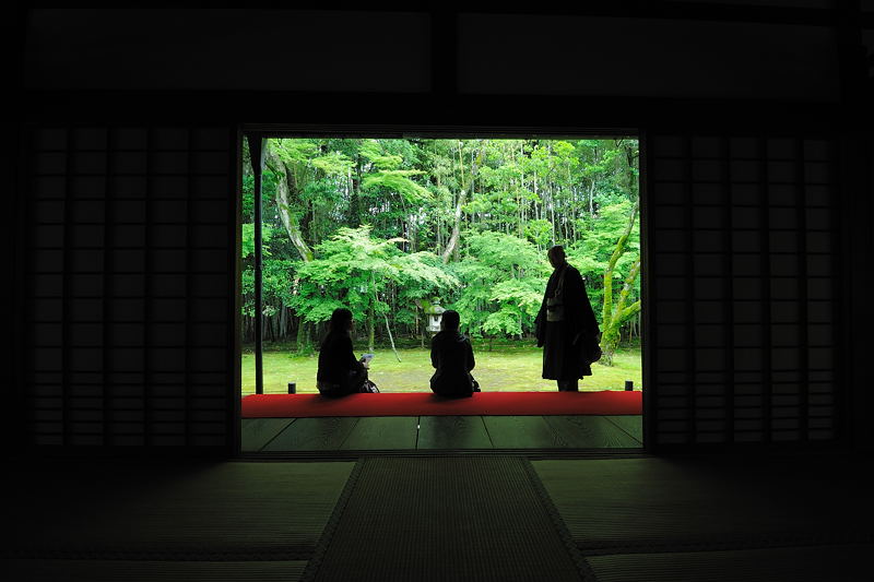 旬緑の大徳寺・高桐院　其の一_f0032011_2014574.jpg