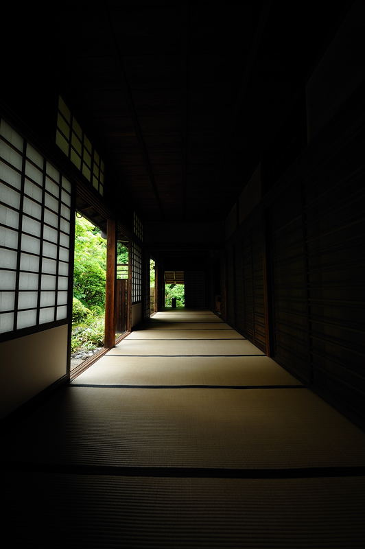 旬緑の大徳寺・高桐院　其の一_f0032011_2015836.jpg