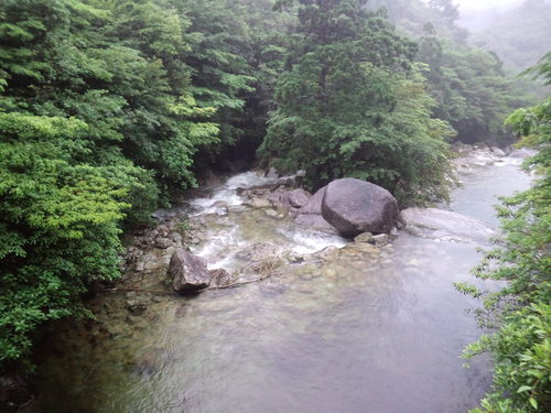 屋久島登山_f0051814_19173511.jpg