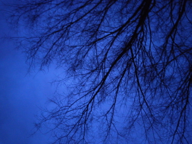 d0235816_1648345.jpg