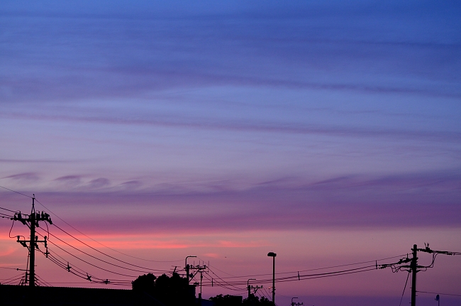 e0055138_110452.jpg