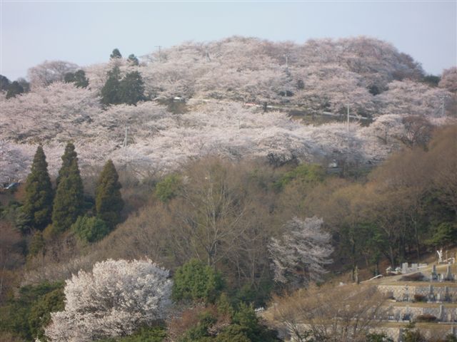 ひろっさんの気ままな話(種松山編)_b0211845_16112180.jpg