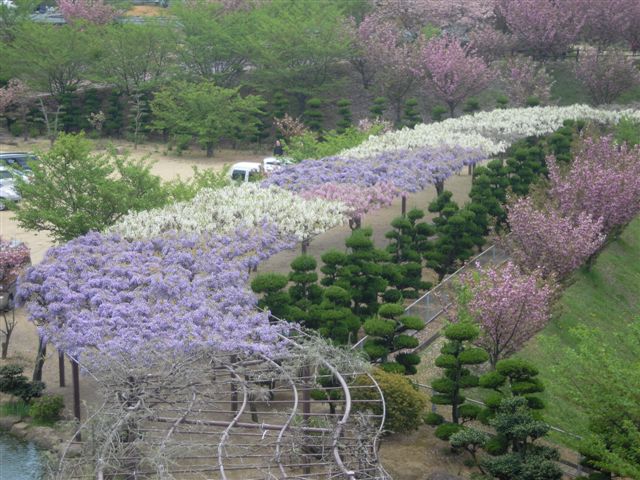 ひろっさんの気ままな話(種松山編)_b0211845_166148.jpg