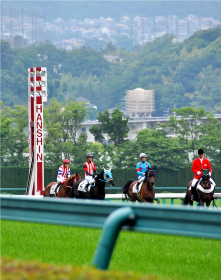 阪神競馬場（その５）。。_f0199649_18331746.jpg