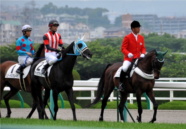 阪神競馬場（その５）。。_f0199649_1834725.jpg