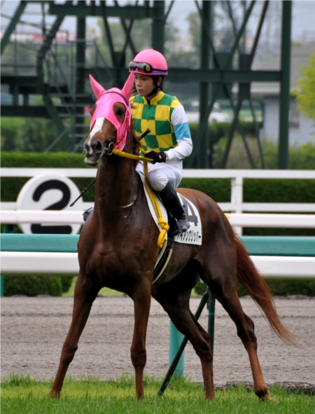 阪神競馬場（その５）。。_f0199649_18384169.jpg