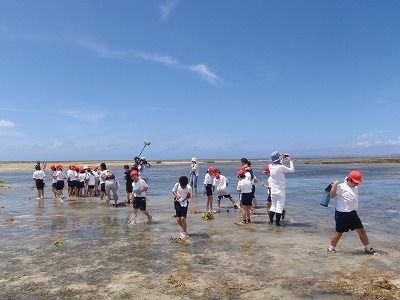 c0180460_138680.jpg