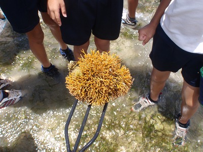 c0180460_140562.jpg