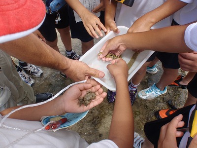 c0180460_1431090.jpg