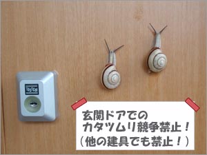 e0091161_10502314.jpg