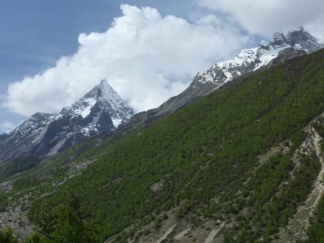 d0129962_805291.jpg