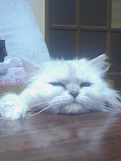 b0213291_103050100.jpg