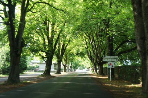 c0090198_55456.jpg